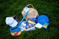 Blue Owl Corporate Picnic july 2021